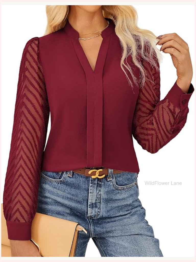 Sheer Lace Long Sleeve Blouse V Neck Pleated Work Office Business Casual Top